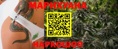 гашик Будённовск