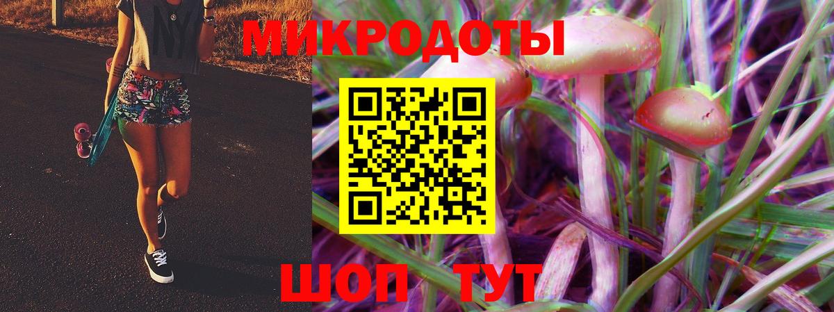 Псилоцибиновые грибы Psilocybe Красный Сулин
