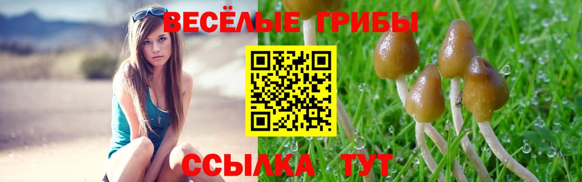 Галлюциногенные грибы мицелий  Псилоцибиновые грибы Magic Shrooms  наркотики  Вход с VPN  Красный Сулин 